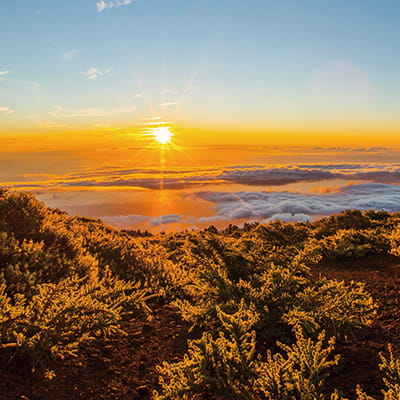 A view over Caldera de Taburiente National Park at sunset, La Palma as seen on a February cruise